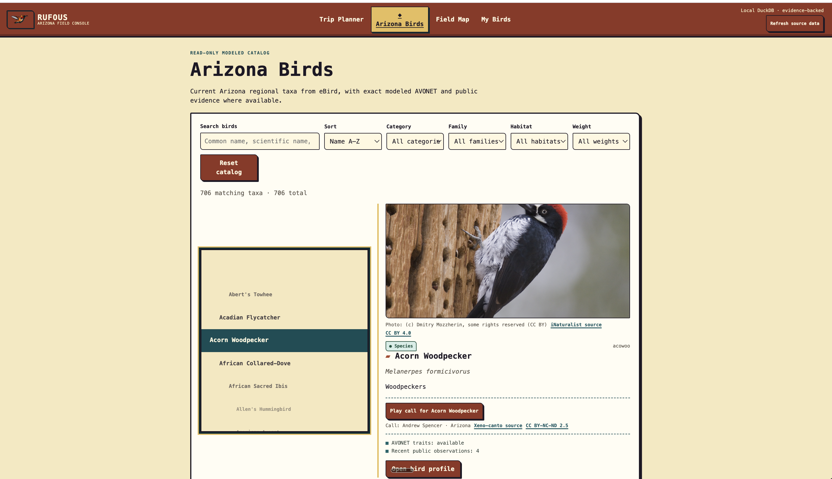 Rufous Arizona Birds catalog showing the selected Acorn Woodpecker, its representative photograph, modeled traits, public-observation count, and available bird call.